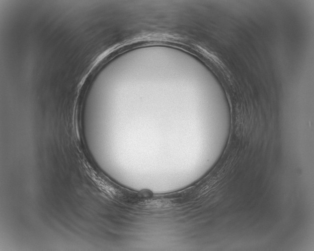 X0000054391272200508270024
