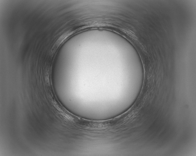 X0000054391273200508270024