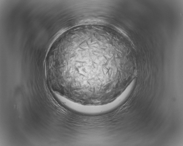 X0000054391275200508270024