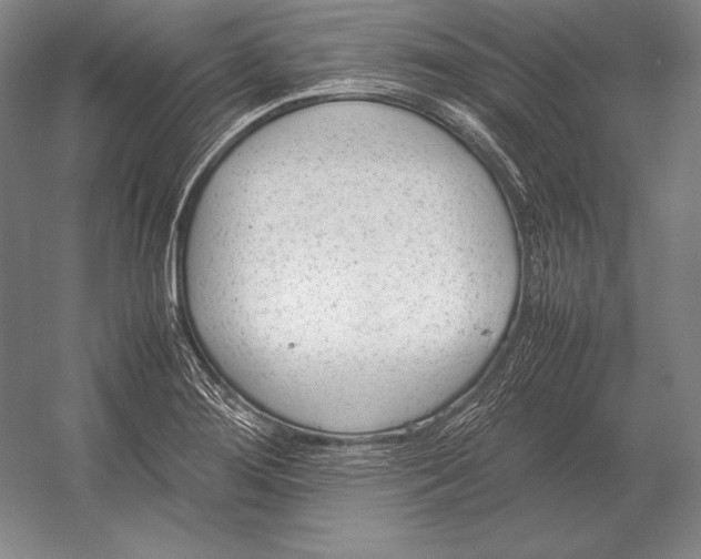 X0000054391276200508270024
