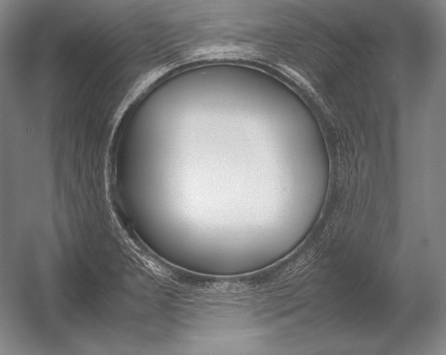X0000054391277200508270024