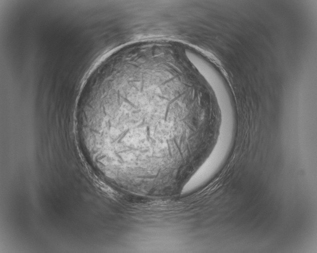 X0000054391279200508270024