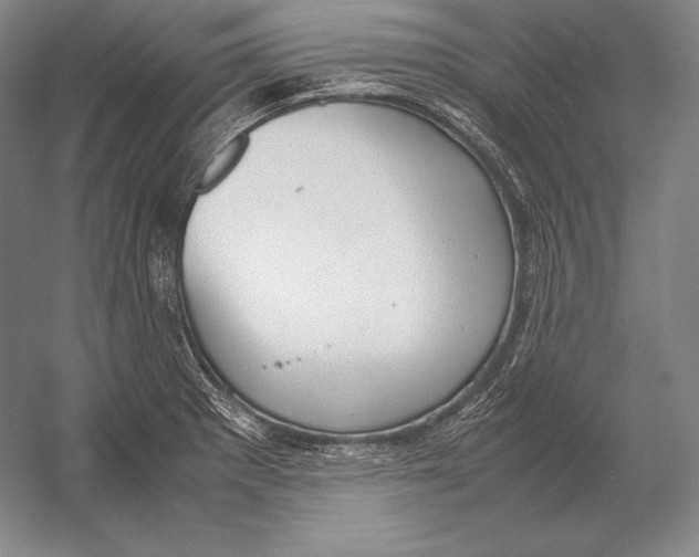 X0000054391281200508270024