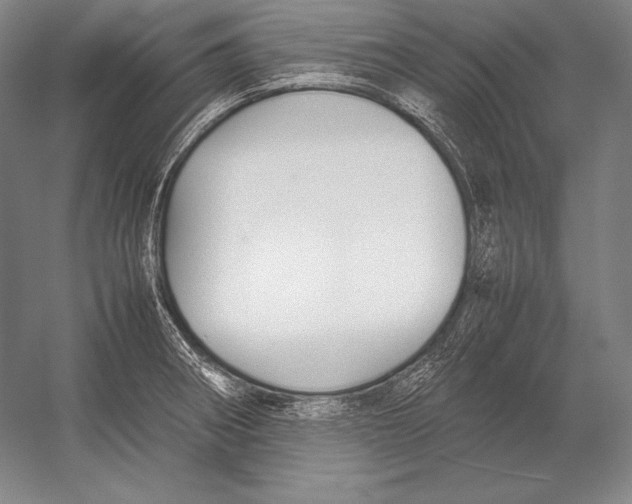 X0000054391282200508270024