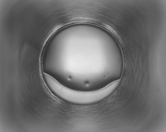 X0000054391283200508270024