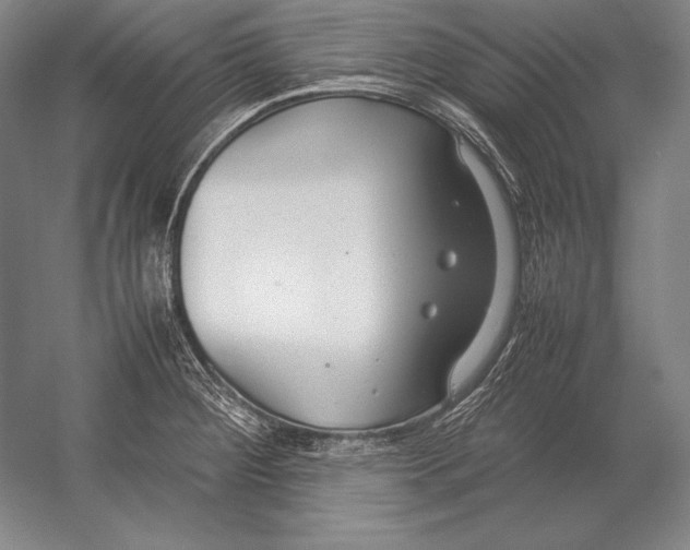 X0000054391284200508270024