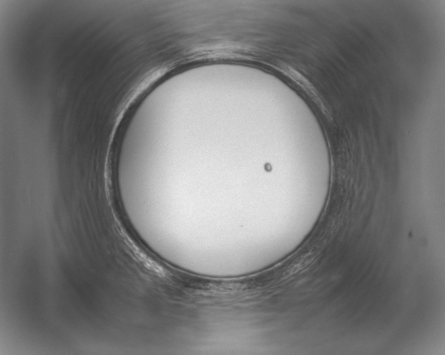 X0000054391285200508270024