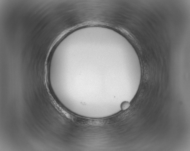 X0000054391286200508270024