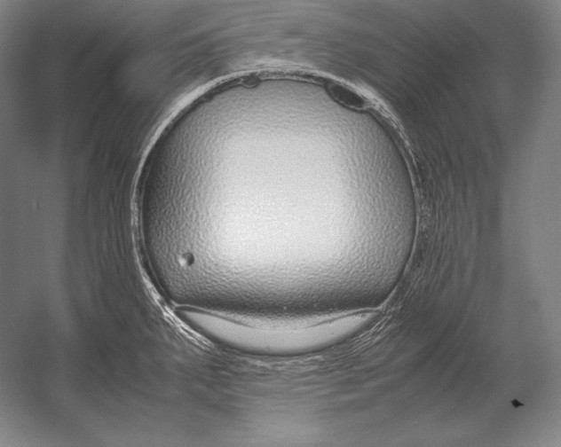 X0000054391287200508270024