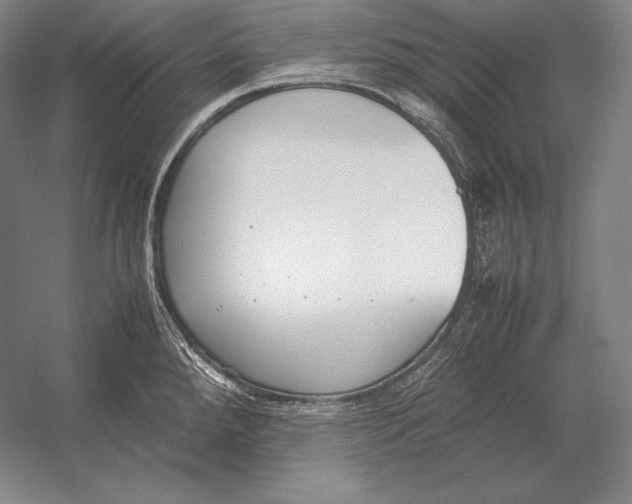 X0000054391288200508270024