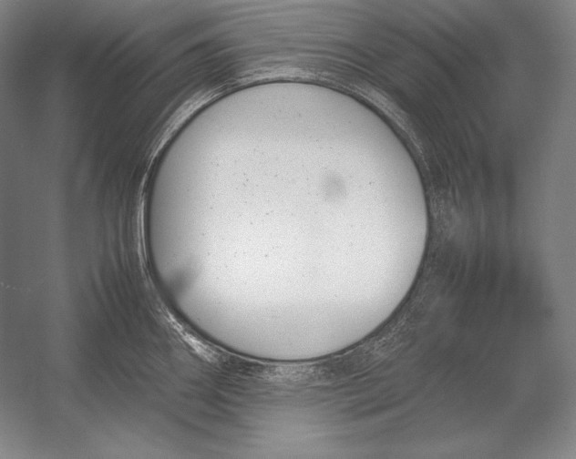X0000054391290200508270024