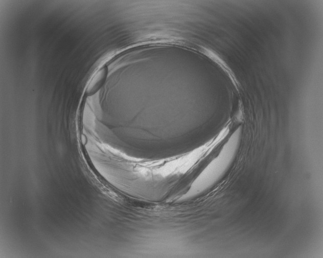 X0000054391291200508270024