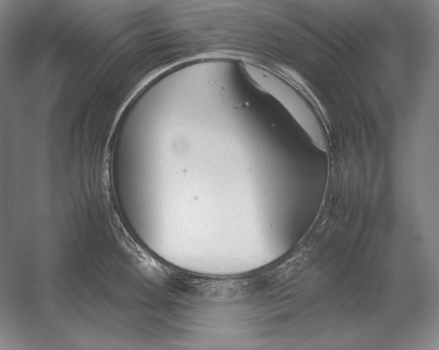 X0000054391292200508270024
