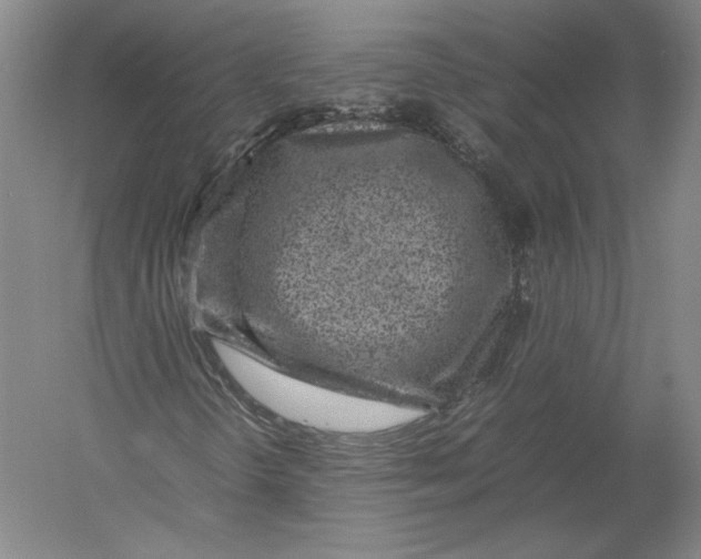 X0000054391298200508270023