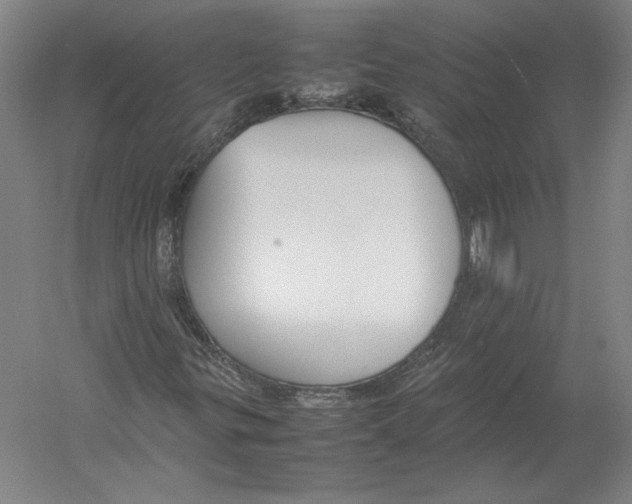 X0000054391299200508270023