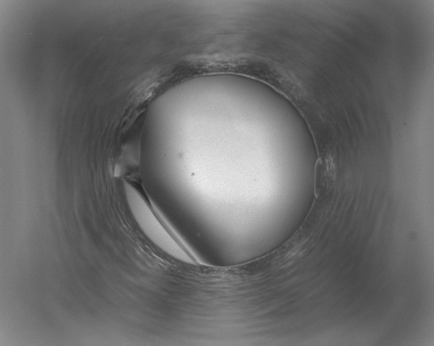 X0000054391300200508270023