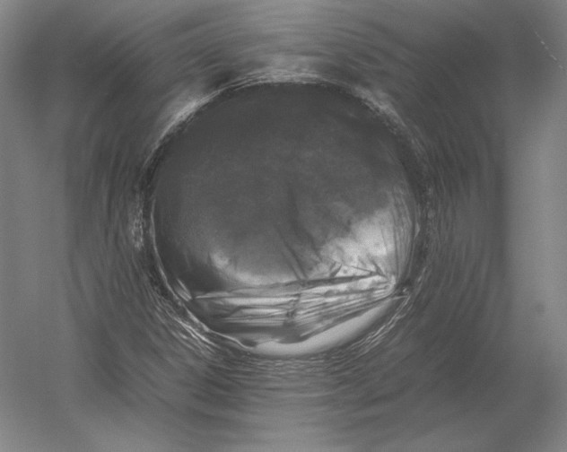 X0000054391306200508270023