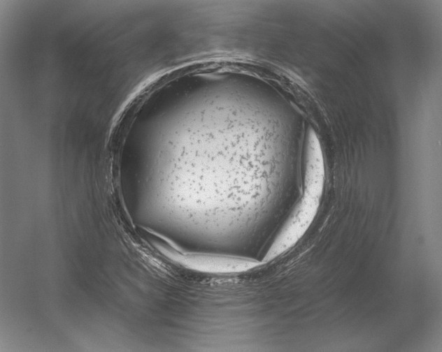 X0000054391310200508270023