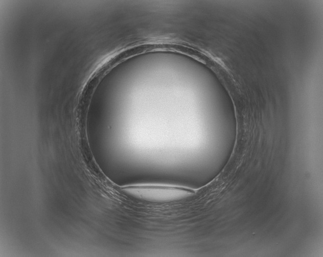 X0000054391311200508270023