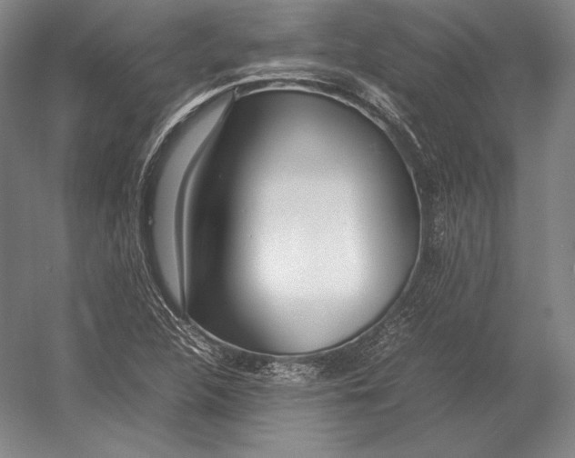 X0000054391312200508270023
