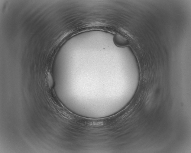 X0000054391313200508270023