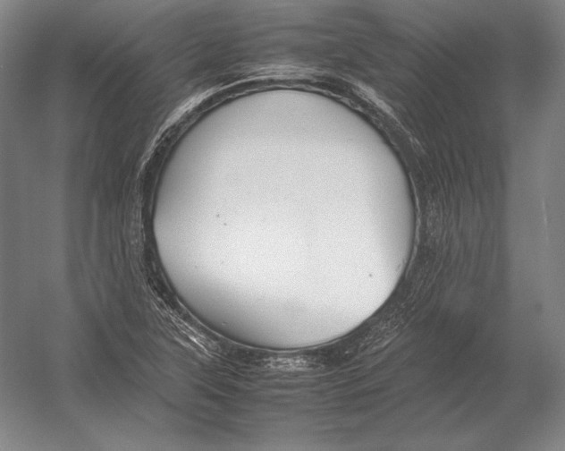 X0000054391315200508270023