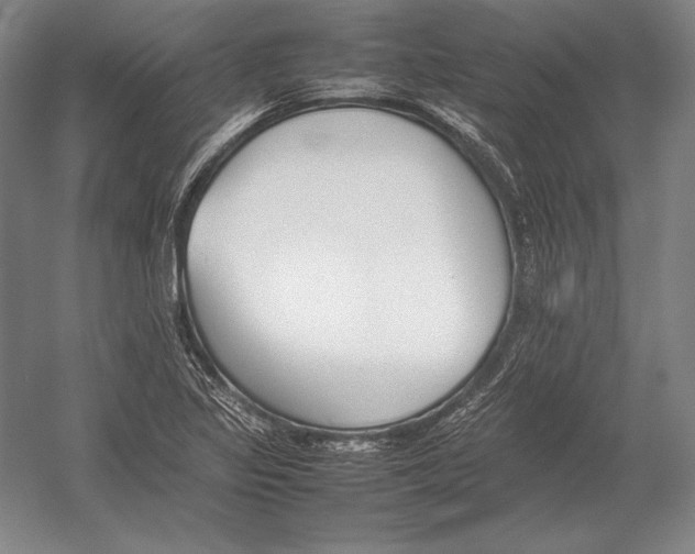 X0000054391317200508270023