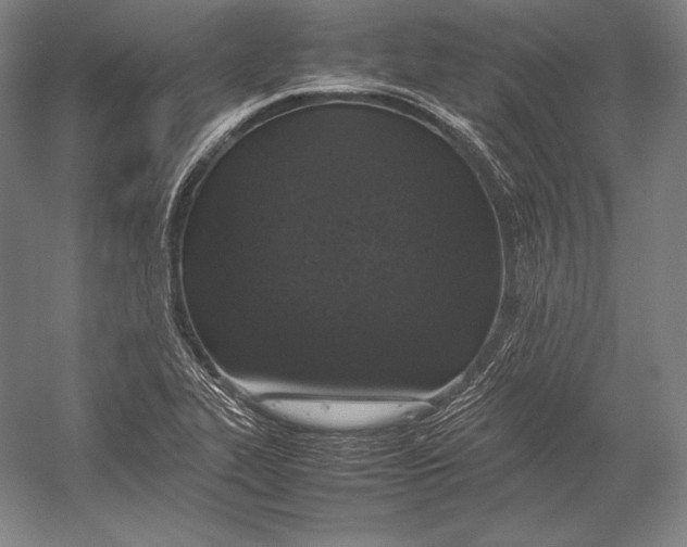 X0000054391319200508270023