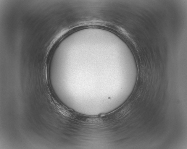 X0000054391320200508270023