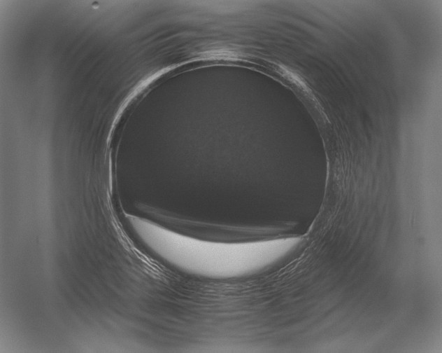 X0000054391323200508270023