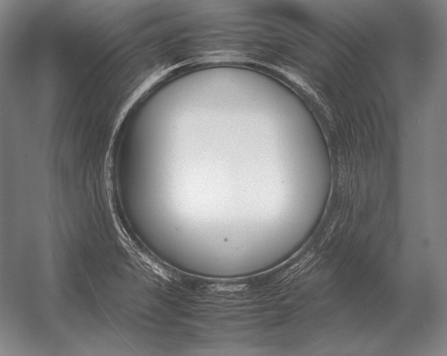 X0000054391325200508270023