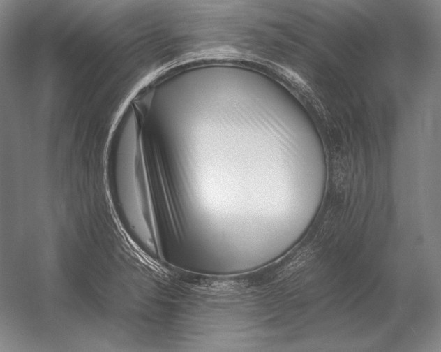 X0000054391326200508270023