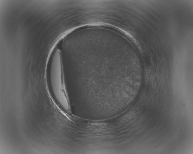 X0000054391327200508270023