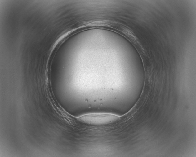 X0000054391328200508270024