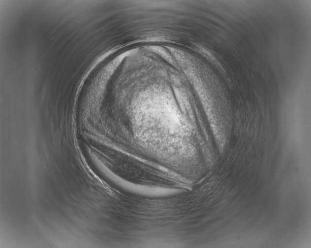 X0000054391331200508270024
