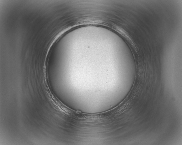 X0000054391332200508270024
