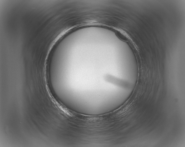 X0000054391333200508270024