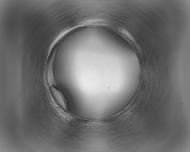 X0000054391336200508270024