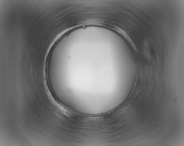 X0000054391339200508270024