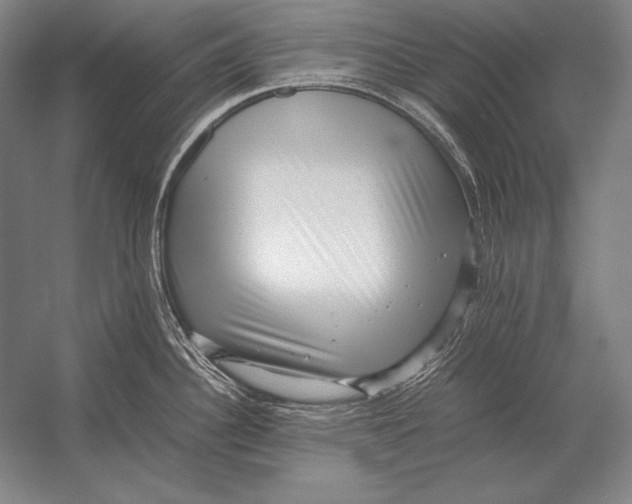 X0000054391340200508270024