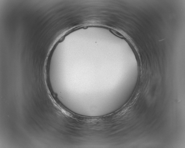 X0000054391341200508270024