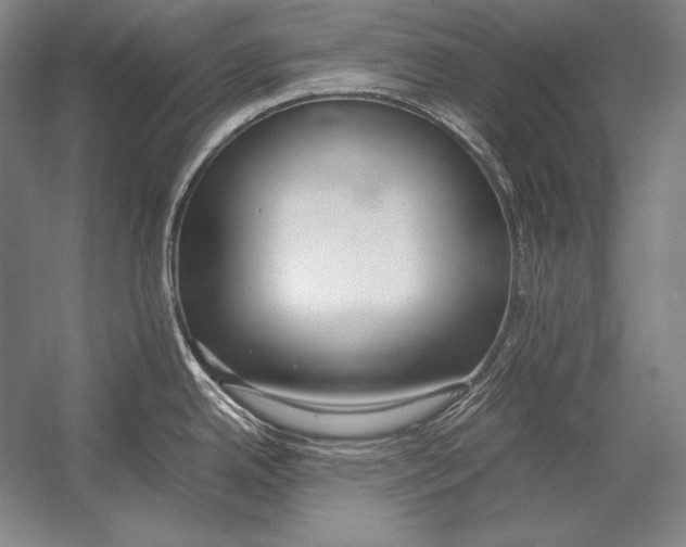 X0000054391342200508270024