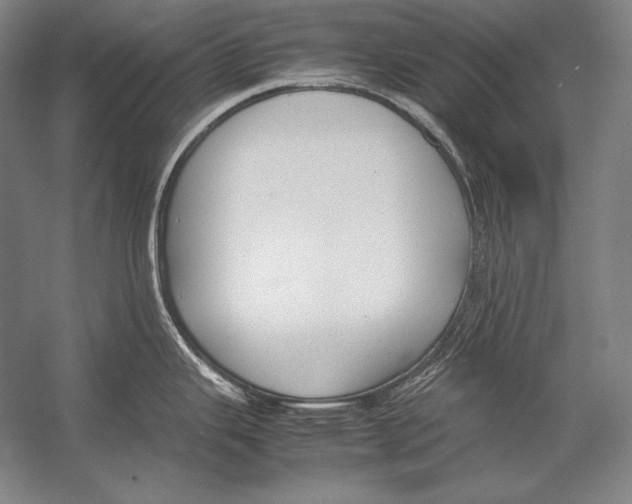 X0000054391343200508270024