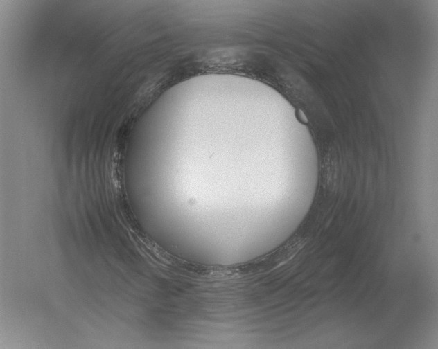 X0000054391346200508270023