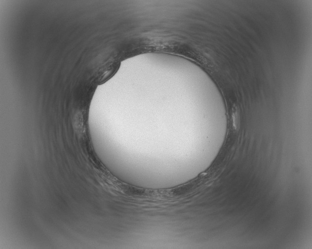 X0000054391347200508270023