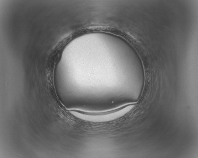 X0000054391351200508270023