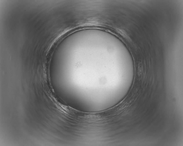 X0000054391356200508270023