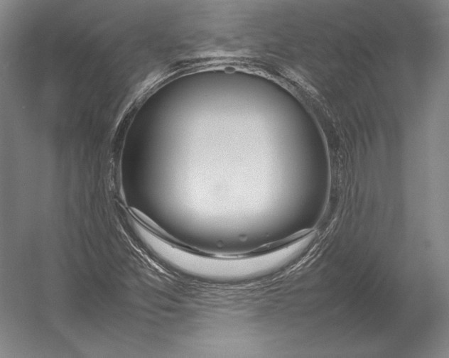 X0000054391357200508270023