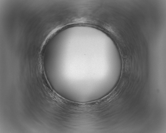 X0000054391358200508270023
