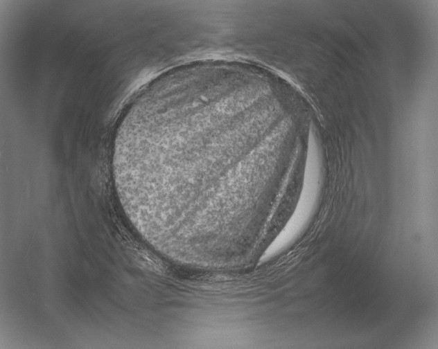 X0000054391359200508270023